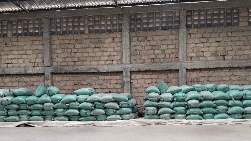 Inside the Firstfield store: two stacks of green 90 kg maize bags on tarpaulin over timber dunnage, standing clear of the stone wall