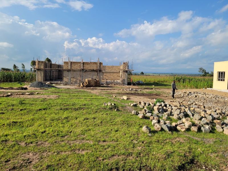 The store under construction in May 2026, walls half built, with the maize crop growing behind it